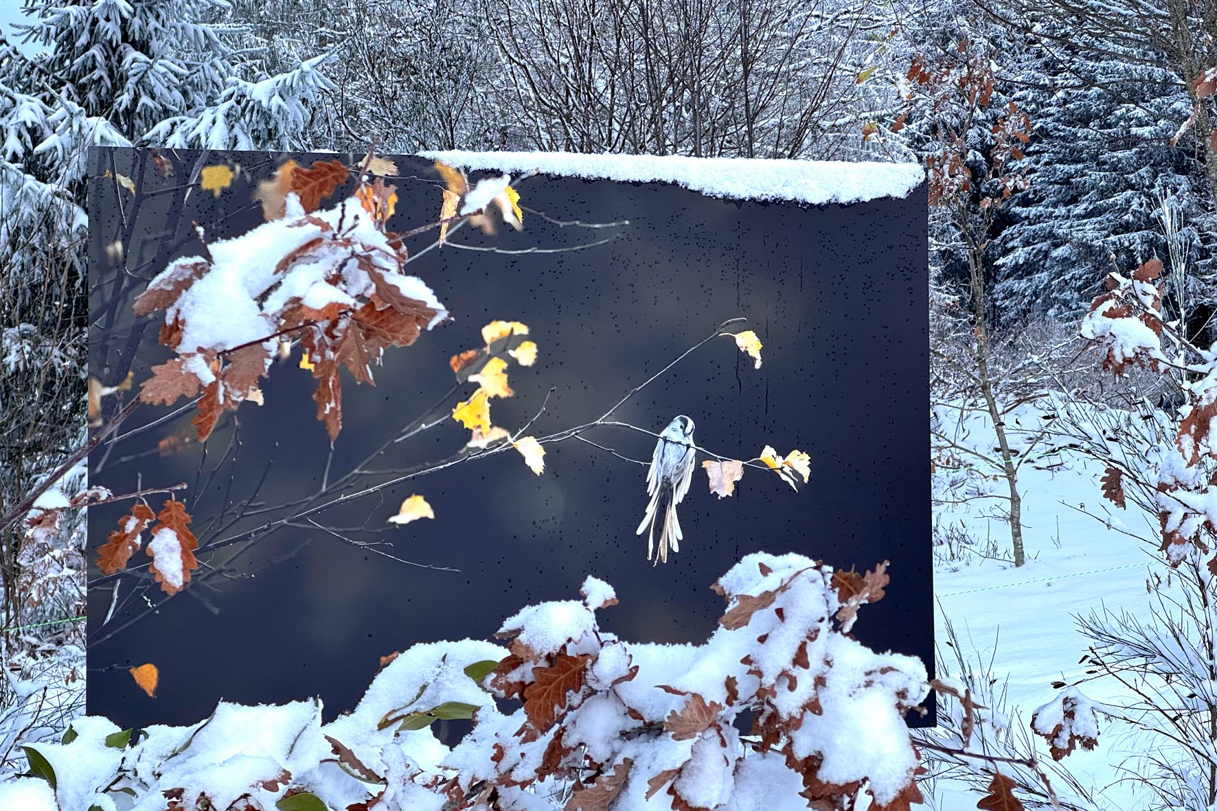 les jardins de bernadette photos IMG 0019 26